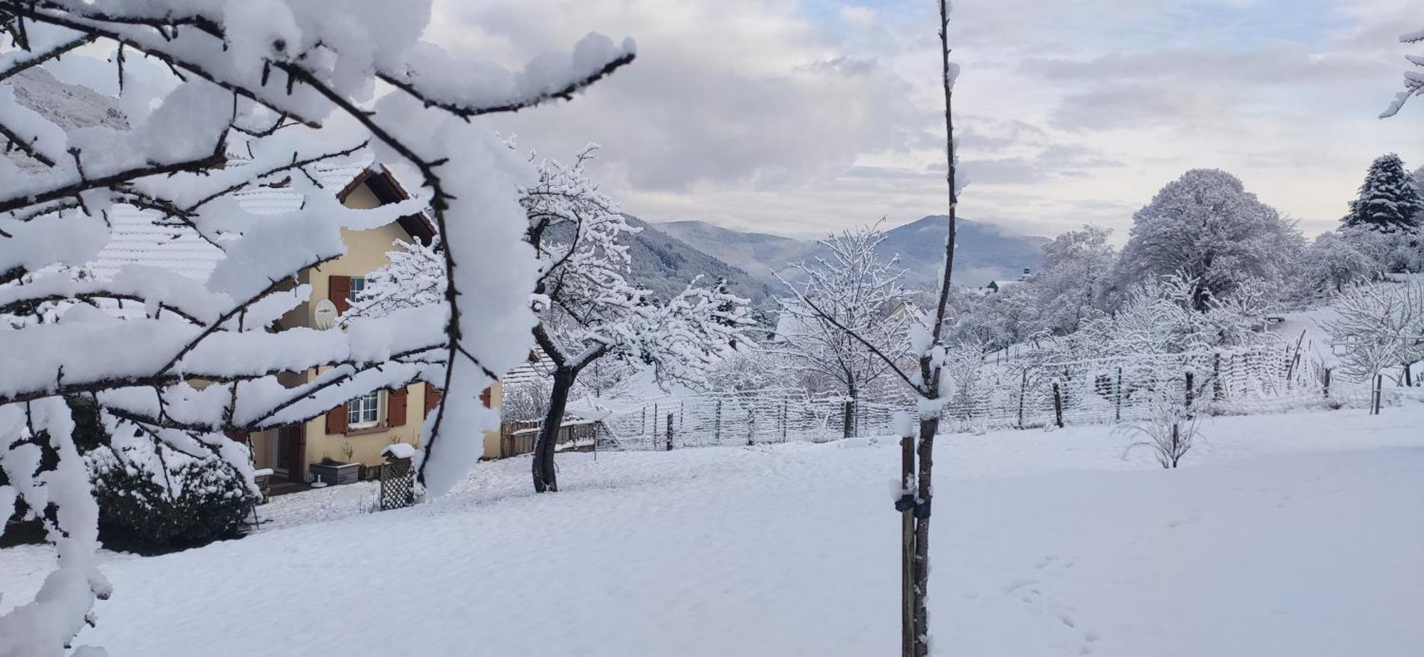Appartement Douillet Avec Vue Sur Les Montagnes Fouchy Экстерьер фото